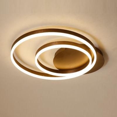 Modern Lights Ring Living Room Bedroom Modern Light Electrical