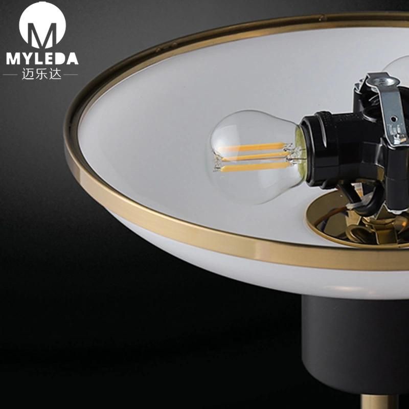 Modern Decorative Floor Lamp for Hotel