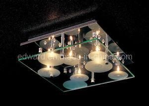 Ceiling Light (1021MX/8F)