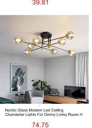 Modern Glass Ball Pendant Lights for Living Room Art Restaurant Black Home Orb Hanging Lamp (WH-AP-285)