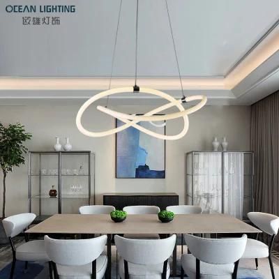 Indoor Lighting Home Decorative Lamp Modern Pendant Lamp