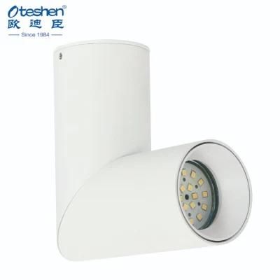 Indoor Decorated IP20 LED Downlight for Museum Ceiling Light