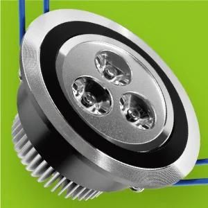 LED Down Lamp / LED Ceiling Lamp / LED Down Light (RAY-02W3)