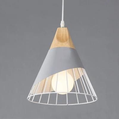 Pendant Lighting Suppliers Interior Modern Pendant Lamp