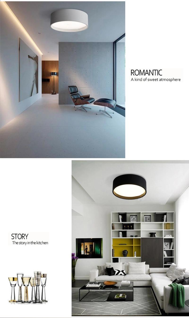 Modern Simple Decorative LED Ceiling Light