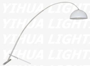 Stainless Steel Floor Lamp (YHF0132)