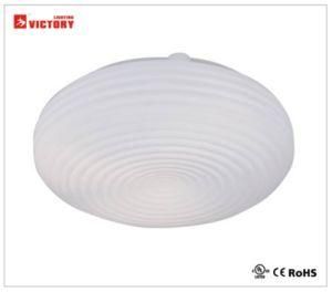 Modern Simple LED Ceiling Lamp for Indoor Lighting