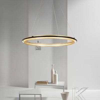 Modern Design Creative Lines Metal LED Ceiling Mouted Home Ceiling Light Lamps Lighting