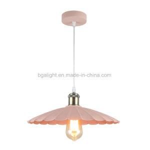 Beautiful Simple Design Metal Painting Pendant Lamp for Coffee Room