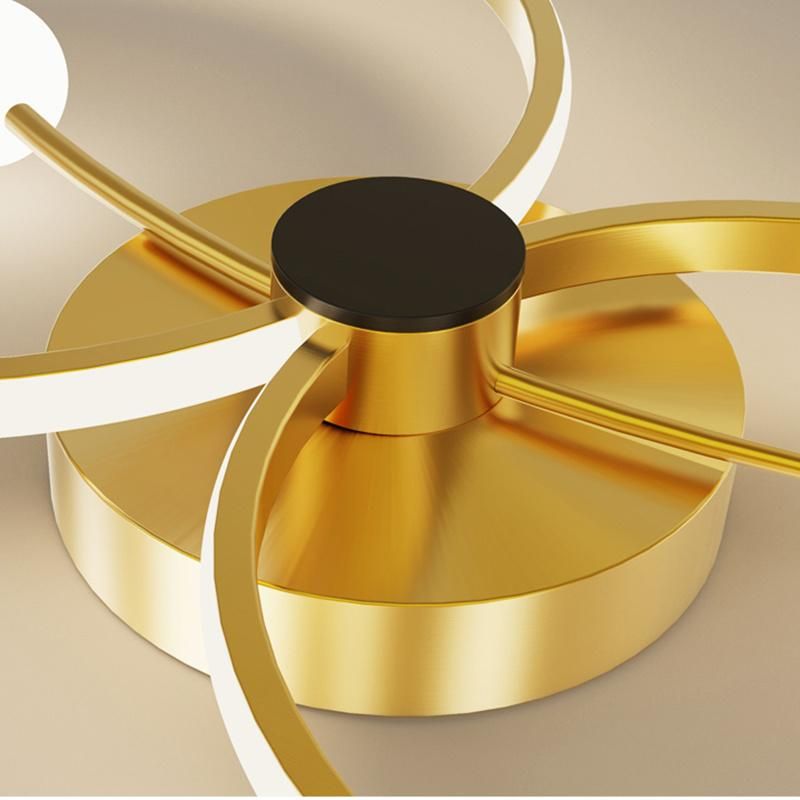 Luxury Fashion Personality Living Room Lamp Ceiling Light Modern Bedroom Light
