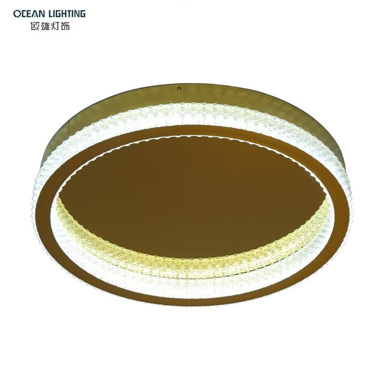 Living Room Indoor Decorative Crystal Zhongshan Ocean Lamp LED Acrylic Ceiling Lamp