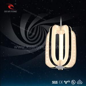 Decorative LED Light Hanging Lamps for Home Lighting (Mv20311)