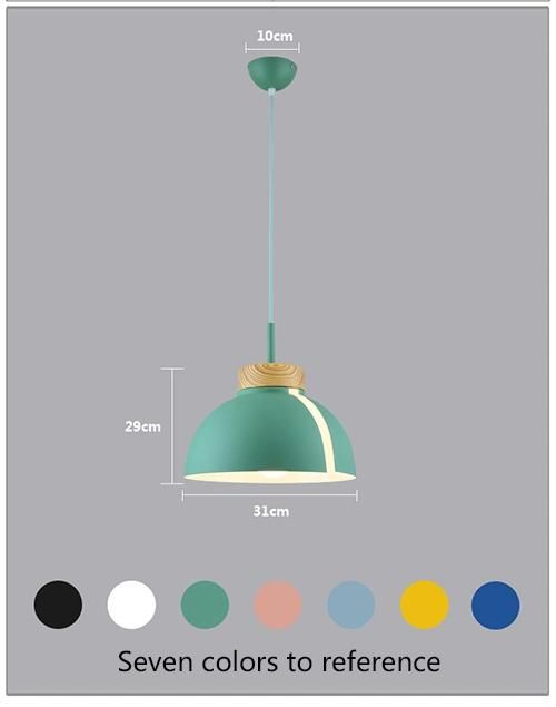 Europe Decorative LED Pendant Light Modern Pendant Lighting Hanging Pendant Lights