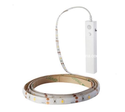 Indoor 2W 3528 SMD Strip PIR Sensor Stripe Lights