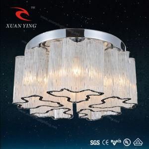 Concise Style Glass Ceiling Lamp with High Quality (Mx68020-5 E27)