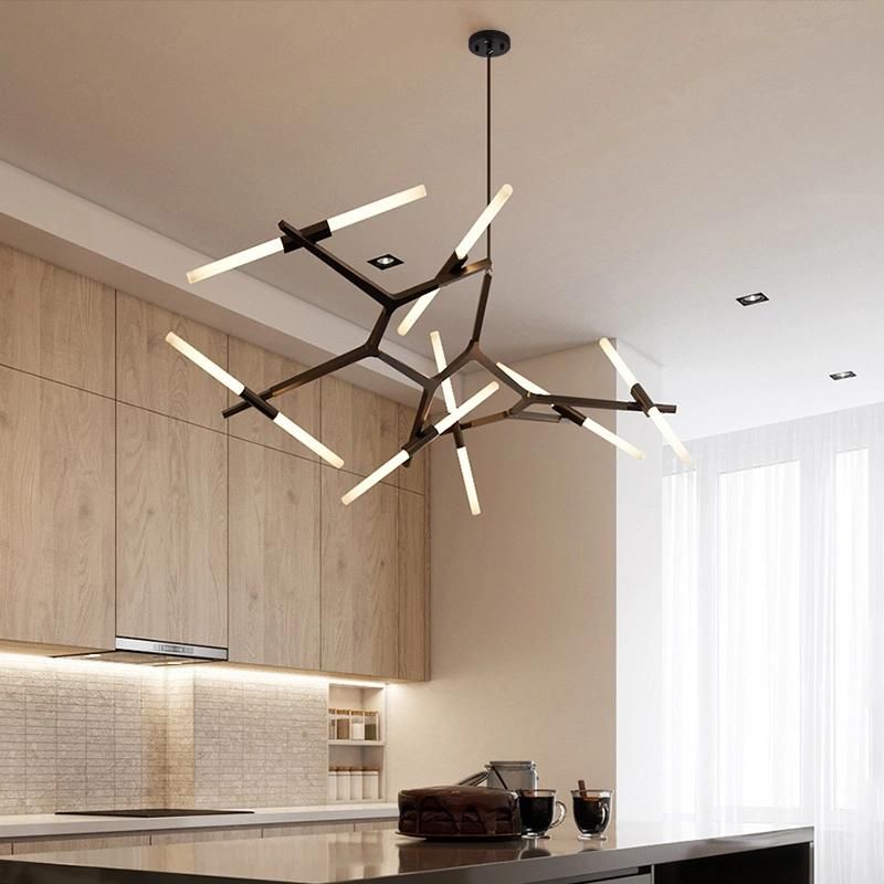 Indoor Home Decoration LED Modern Ceiling Chandelier Pendant Lamp (WH-AP-46)