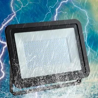 10W 20W 30W 50W Portable Outdoor Waterproof Motion Sensor Stadium LED Floodlight