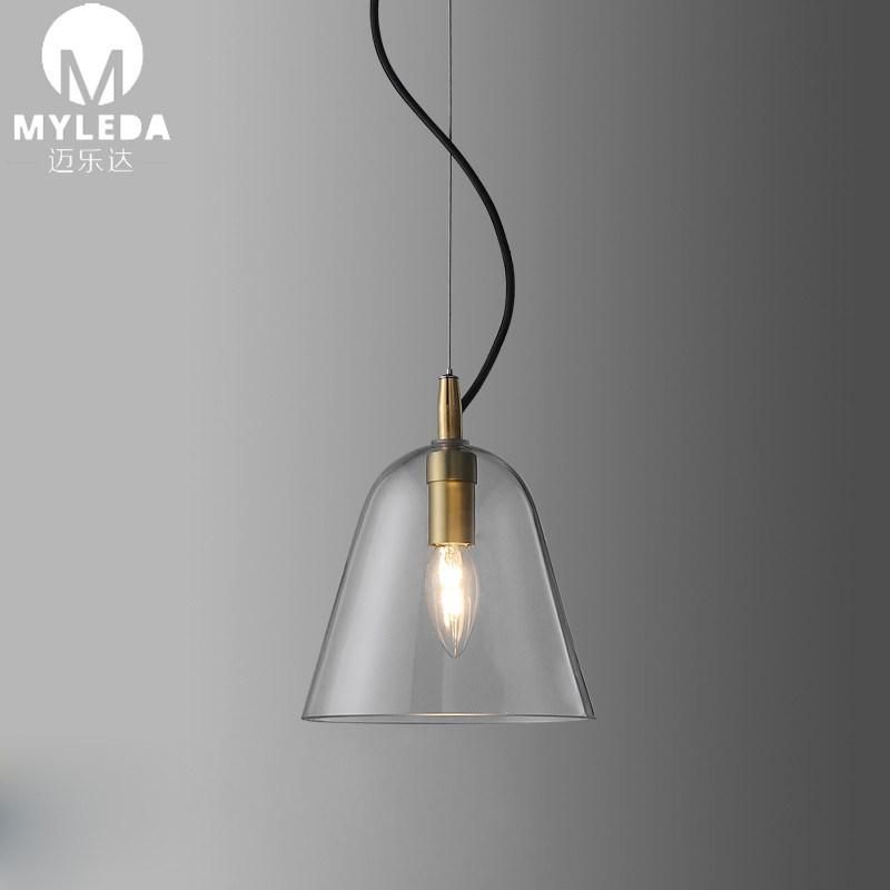 Hand Blown Glass Clear Glass Pendant Light Fixture