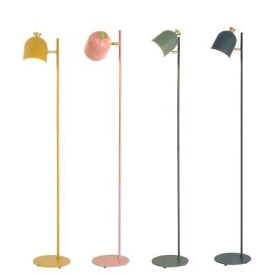 Macaroon Floor Lamps for Living Room Bedroom Study Desk Floor Light Creative Macaron Wrought Iron Vertical Standing Lamps