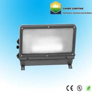 Energy Efficient Light Induction Lamp Wall Pack Lighting (LG0556)