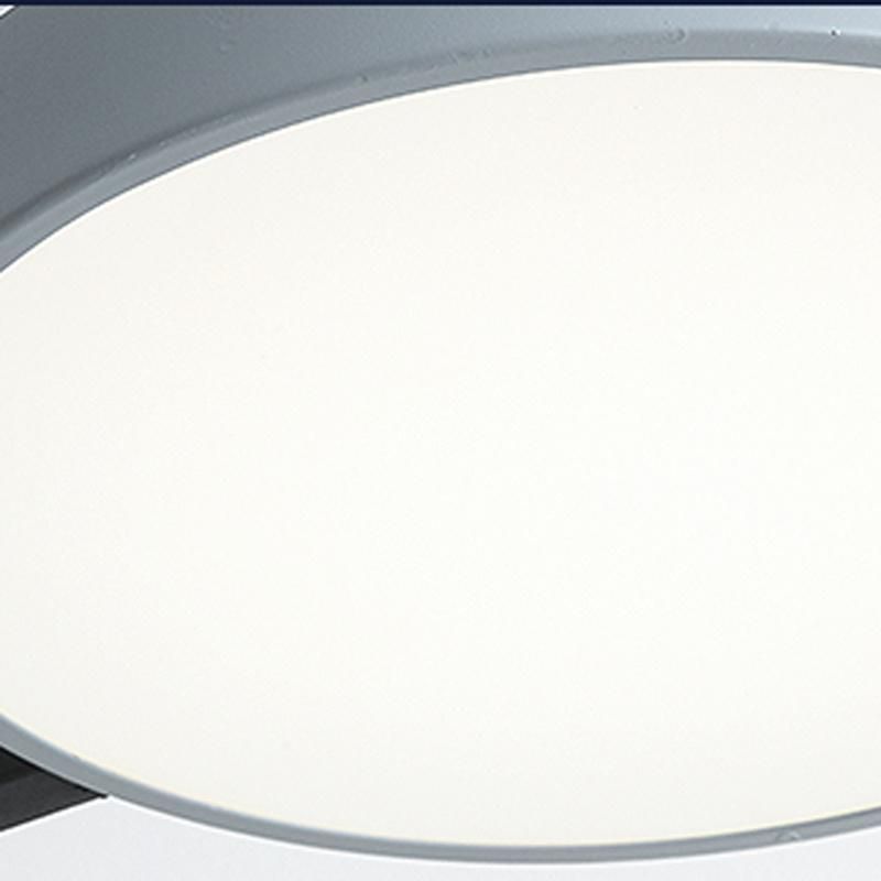 Nordic Iron Living Room Light Personality Modern Simple Creative Study Bedroom Lamp LED Ceiling Lamp