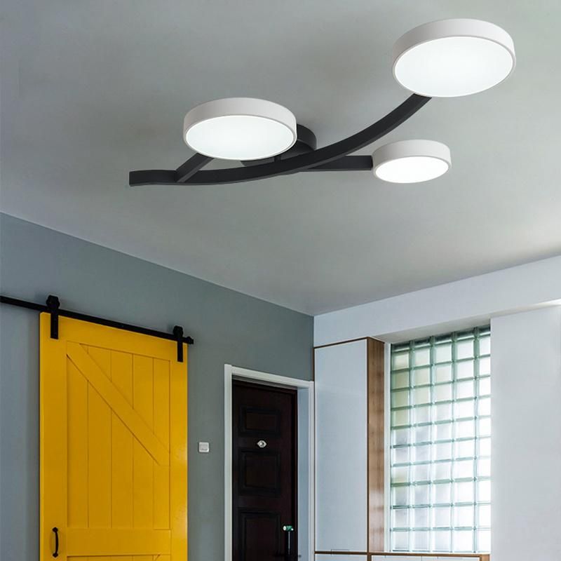 Nordic Iron Living Room Light Personality Modern Simple Creative Study Bedroom Lamp LED Ceiling Lamp