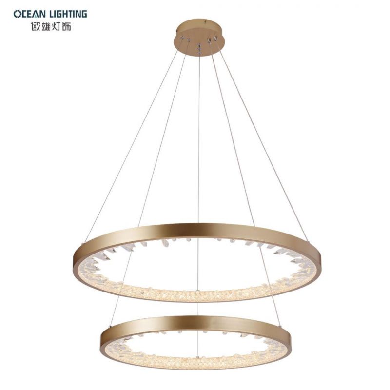Modern Aluminum Iron Acrylic Pendant Light Indoor Decorative Pendant Lighting for Home Hotel