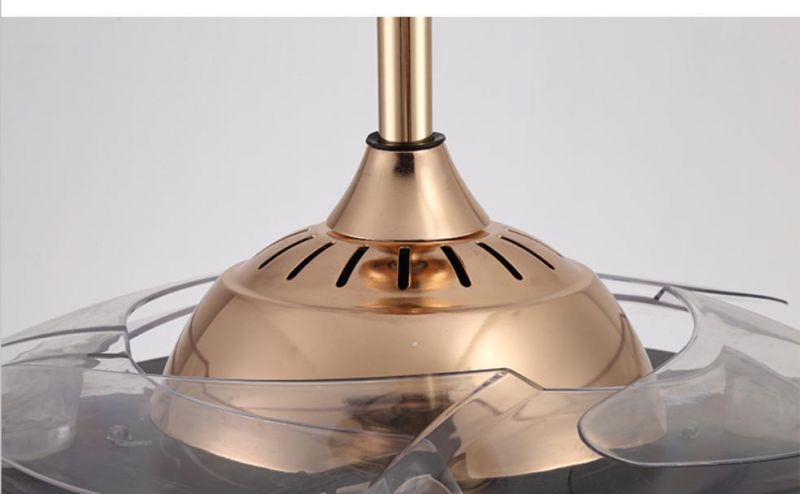 Fan Light LED Modern Minimalist Ceiling Fan Light Outdoor Ceiling Fan Chandelier