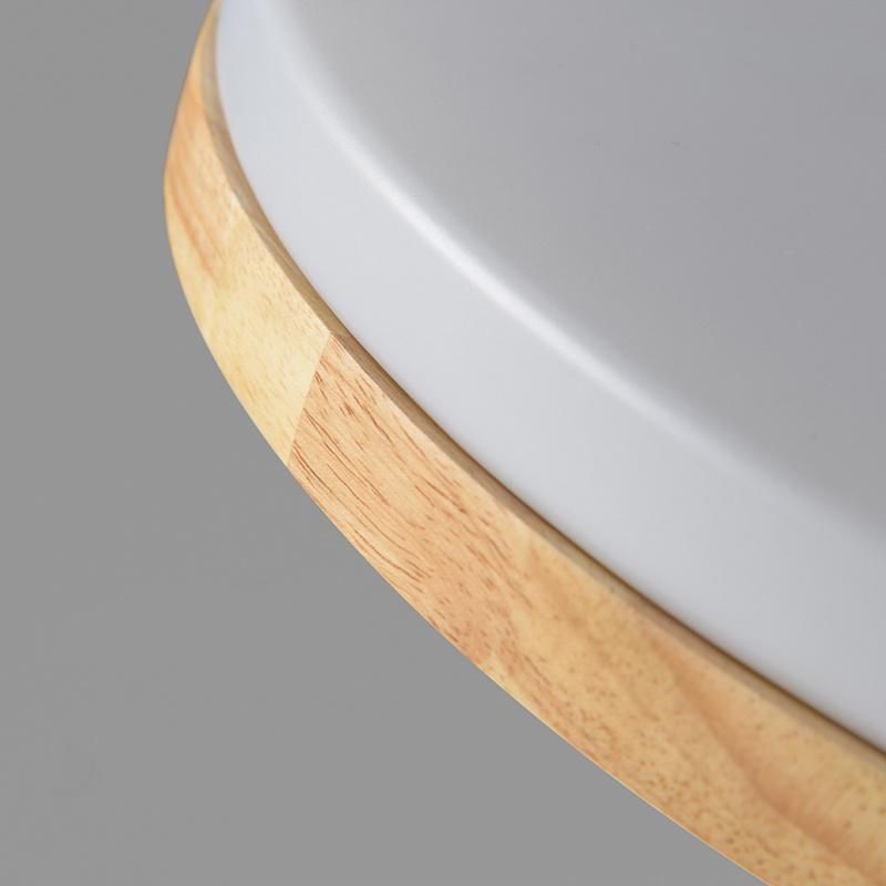Nordic LED Ceiling Lamp Round Bedroom Lamp Simple Modern Household Lamp