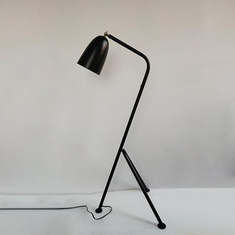 Plating Metal Body and Shade with Acrylic Lock Floor Lamp.