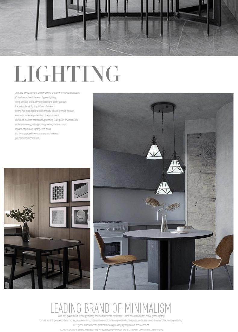Modern Indoor LED Home Decoration Ceiling Lamp Simple Fashion Pendant Bar Lighting