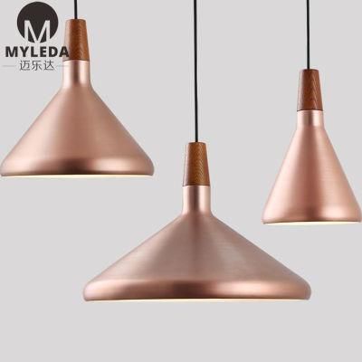 Pendant Lamp with Wood Decorative Head