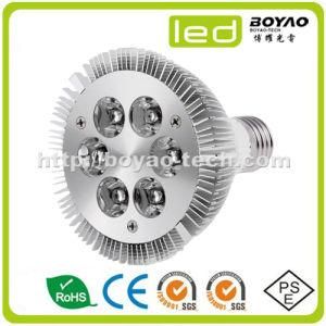 LED PAR30 Light 6W E27