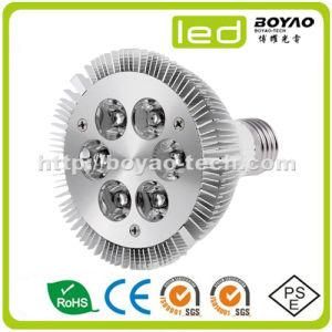 LED PAR30 Light 6W E27