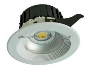 LED Ceiling Light ZH-TH-10W/T11 LED Light