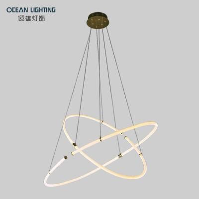 Energy Saving Indoor Lighting Lamp Luxury Modern Pendant Lamp