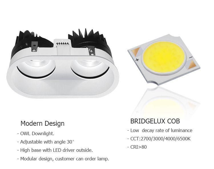 Single Head Aluminum 10W 15W Adjustable LED COB Recessed Spotlight Downlight