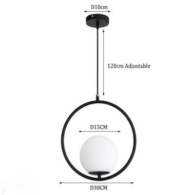 Factory Wholesale Nordic Decorative Pendant Lamp New Modern Hanging Mounted Pendant Lamp