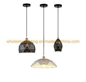 Metal Pendant Lamp (WHG-938)