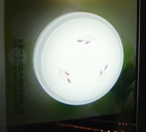 LED Ceiling Light Fixtures