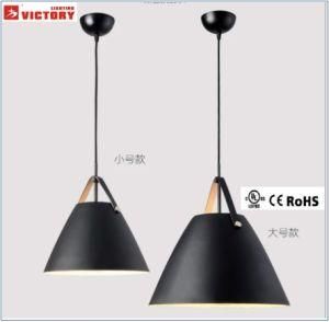 Decorative Project Brushed Black Hanging Pendant Light