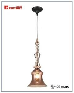 Modern Simple Indoor Hanging Pendant Lamp with Ce Approval