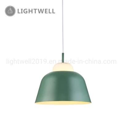 Modern indoor hanging light Home Decorative Lighting Metal Pendant Lamp