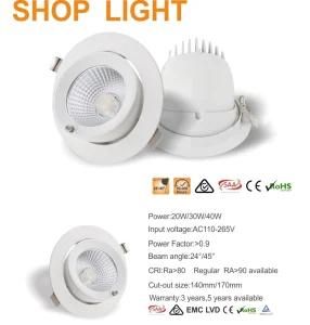 New 30W COB LED Round Dimbal Shop Light