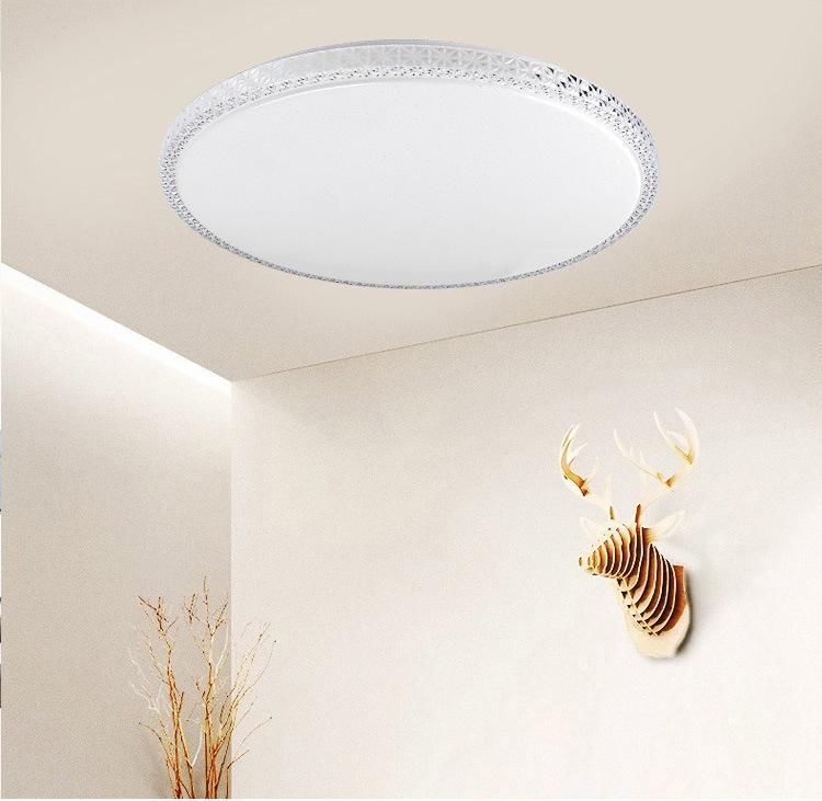 Round Fixture Flower Flat LED Ceiling Lamp