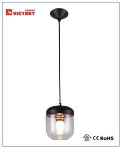 Indoor Lighting Modern Decorative Energy Saving Pendant Lamp