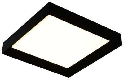 Simple Square Indoor Ceiling Mount Light with LED Lighting