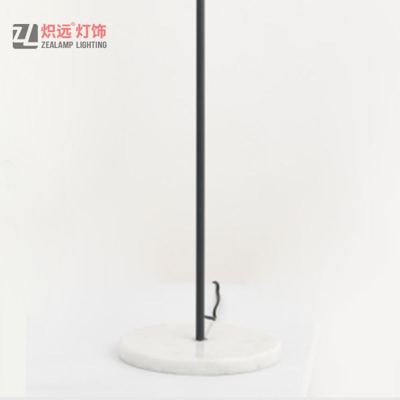 Nordic Iron Simple Floor Lamp (ZLF052)