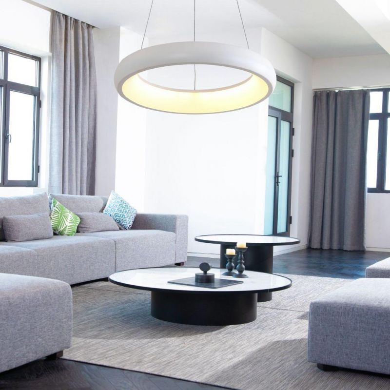 Designer Ceiling Pendants Lighting Aluminum Pendant Lamp for Living Room