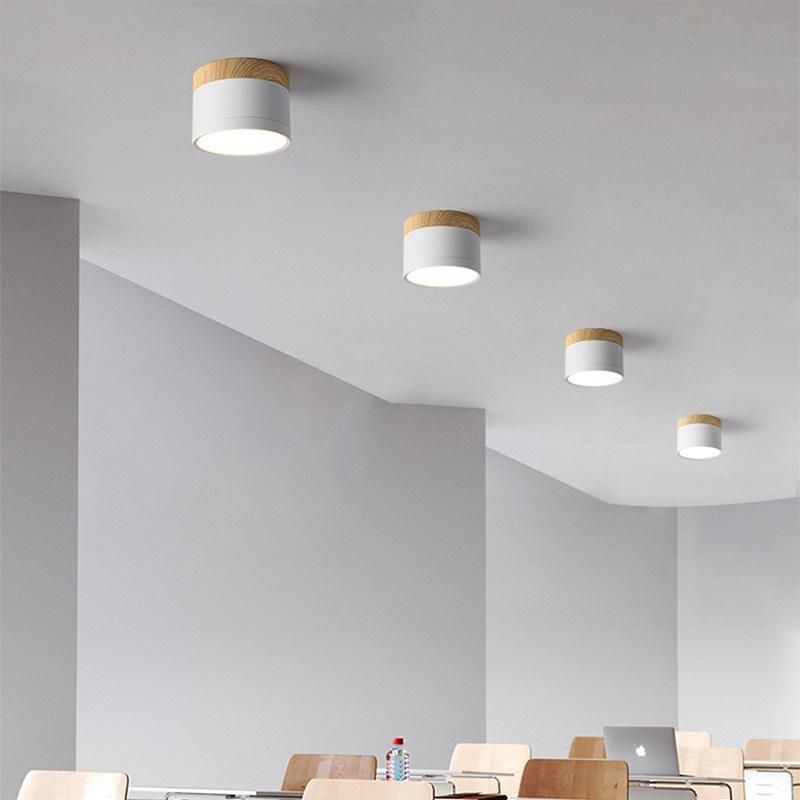 Mini Small Size Concise Style Ceiling Lamp Pendant Lamp Restaurant Lamp